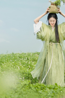 NPH文